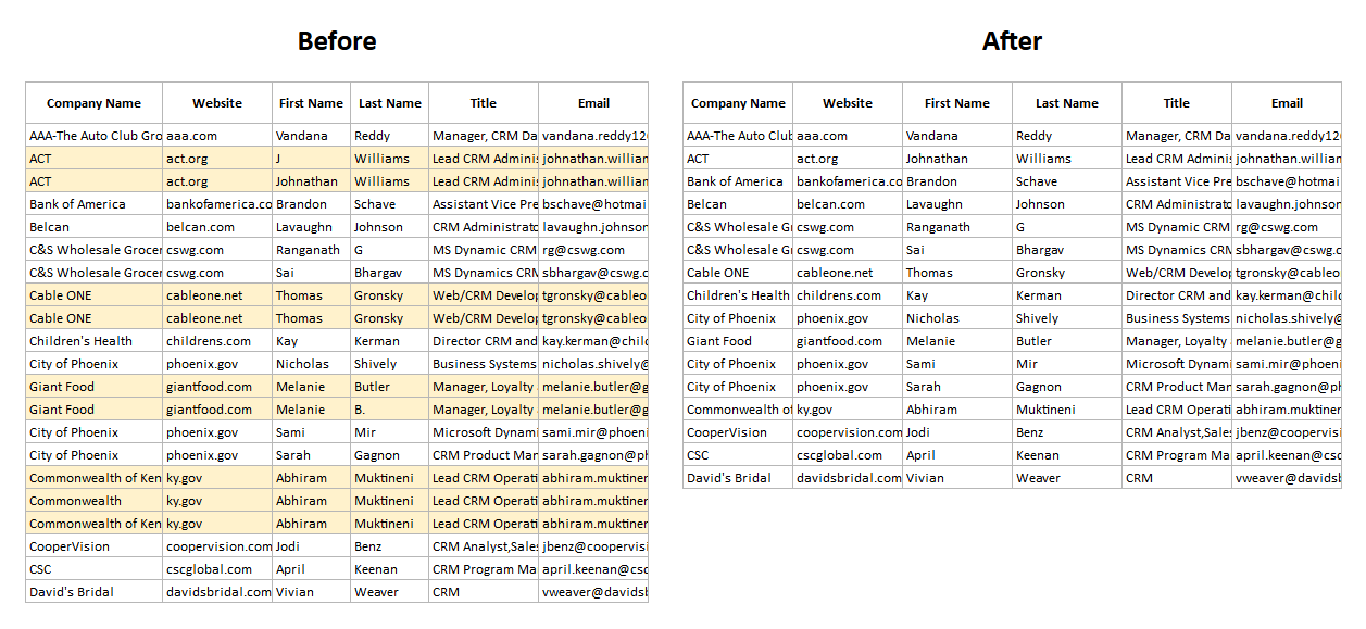 CRM Duplicate Data Remove